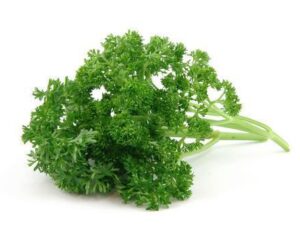 Curly Parsley