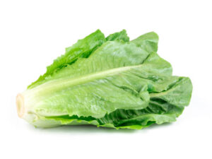 Romaine Lettuce